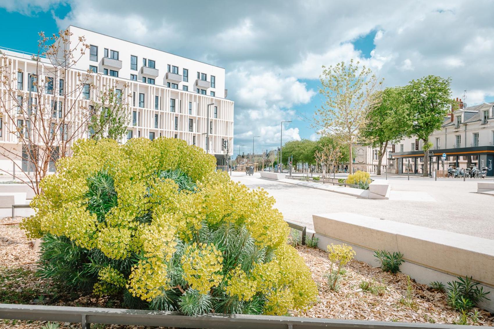 Beelodge Hotel Blois Centre Exterior foto